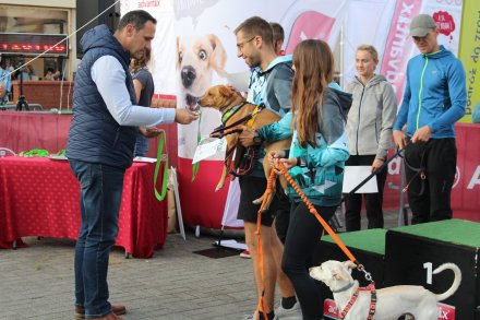 Fragment biegu Pucharu Polski w Dogtrekkingu w Wiśle